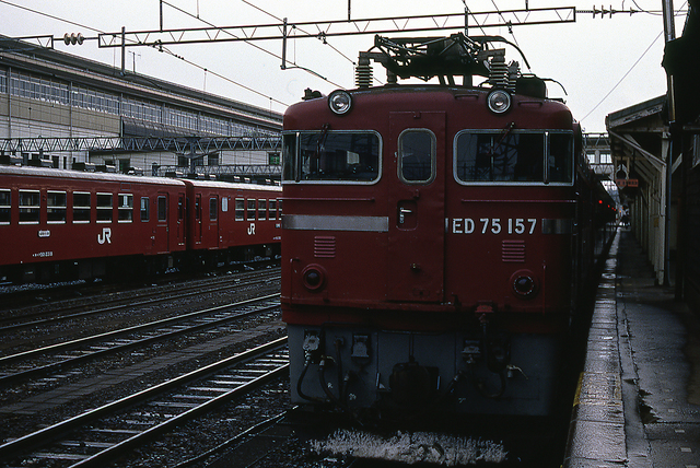 img073.jpg