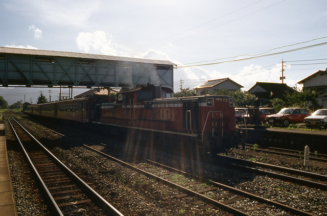 img732.jpg
