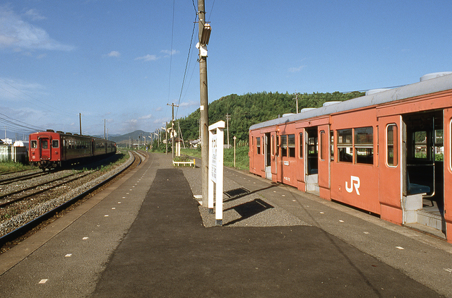 img733.jpg