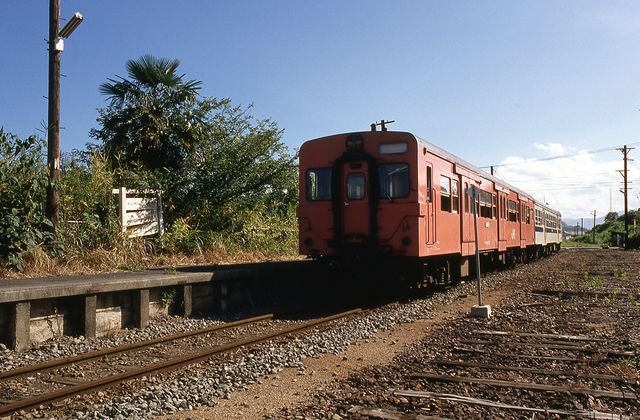 img739.jpg