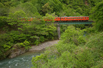 silverline-07.jpg