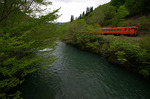 silverline-09.jpg