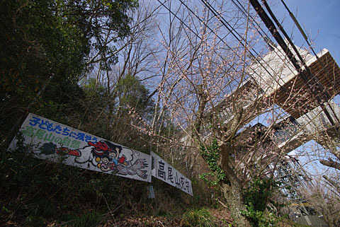 takao-15.jpg