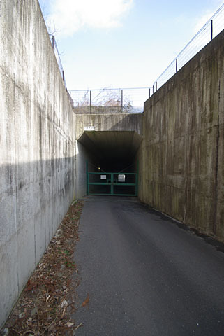 takao-24.jpg